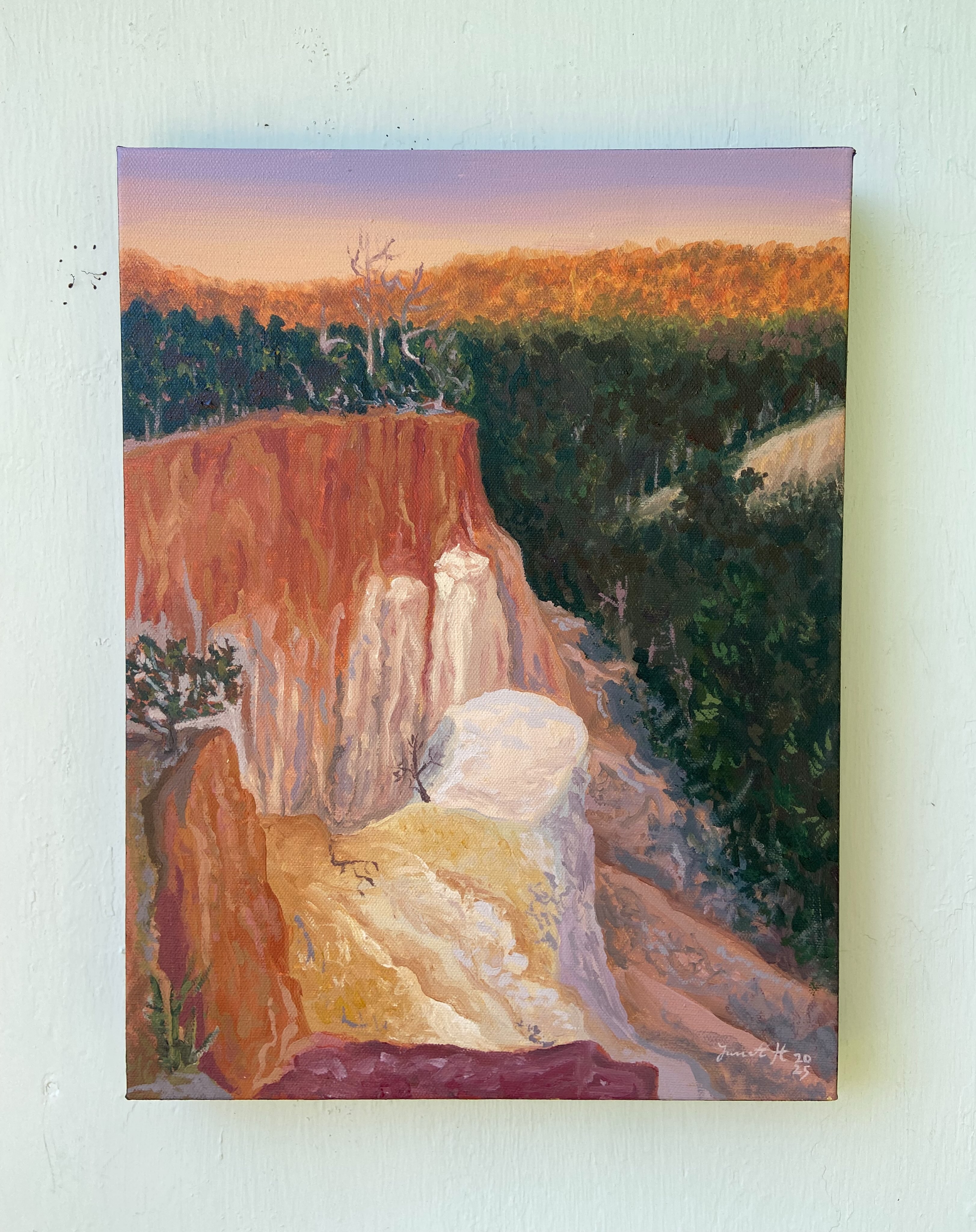 This is a small Plein air painting from Providence Canyon that I entered in this year’s Columbus Artists Guild members exhibition, open until October 30th at the library on Macon rd. Lots of great work by artists from the area!

Sunrise at Providence Canyon
12 x 16 
Acrylic on canvas